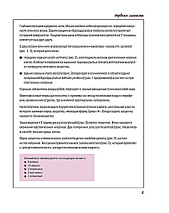 Atlas of Human Anatomy. Nervous System
