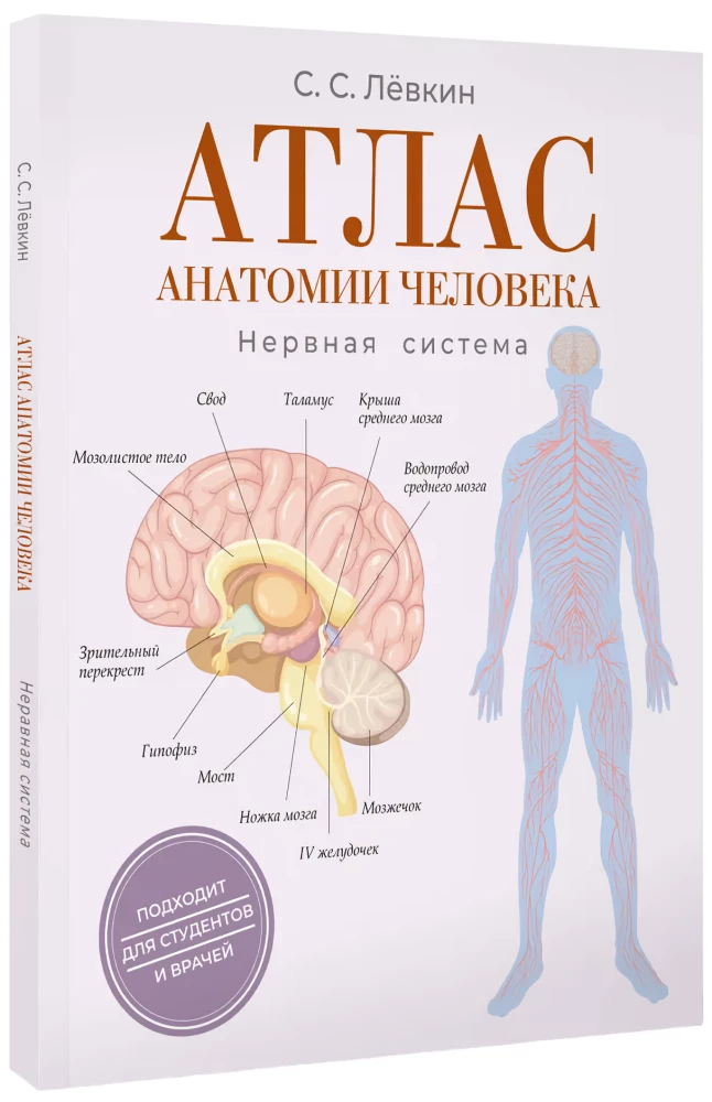 Atlas of Human Anatomy. Nervous System