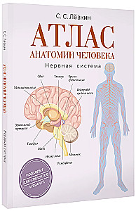 Atlas of Human Anatomy. Nervous System