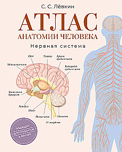 Atlas of Human Anatomy. Nervous System