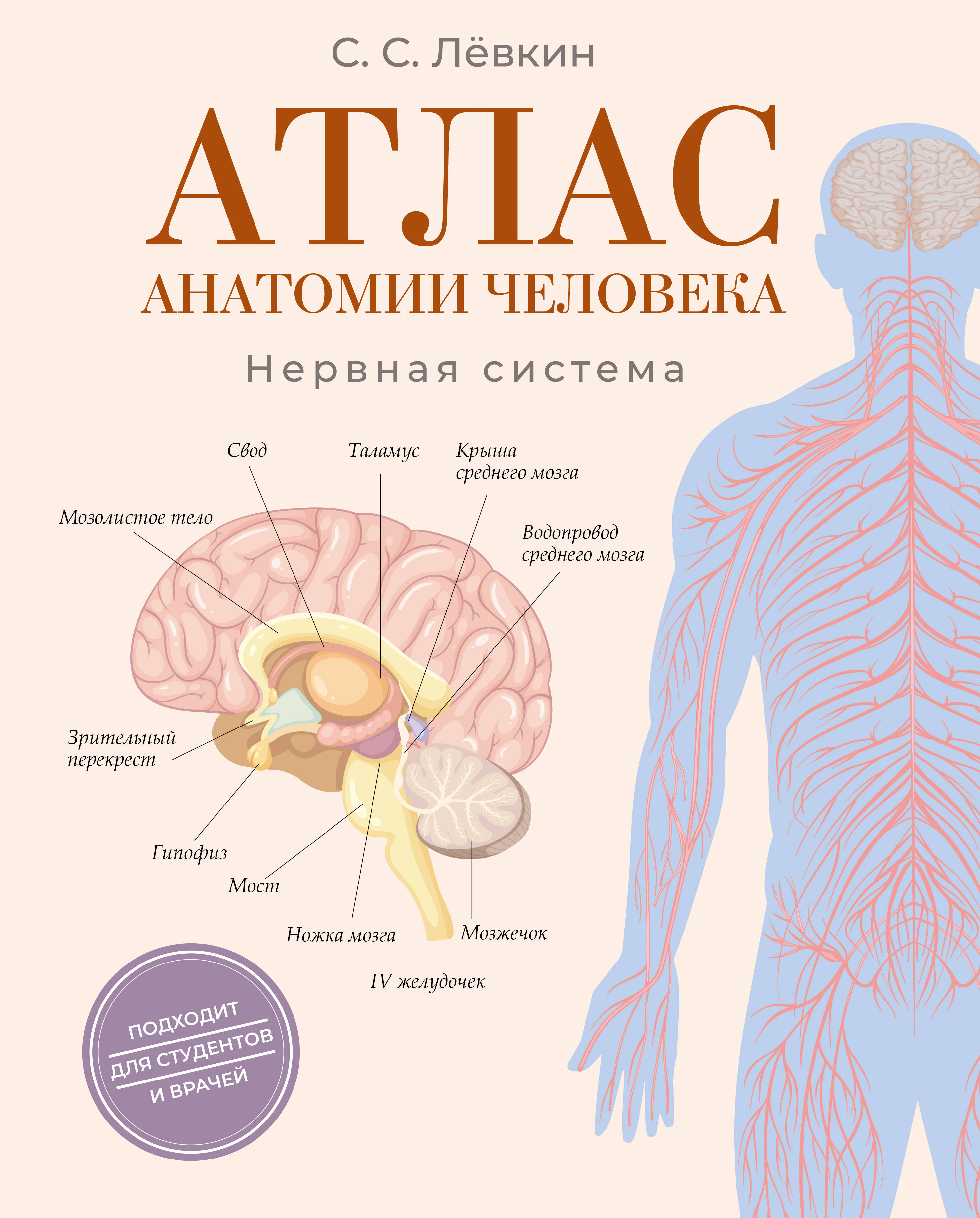 Atlas der Anatomie des Menschen. Das Nervensystem