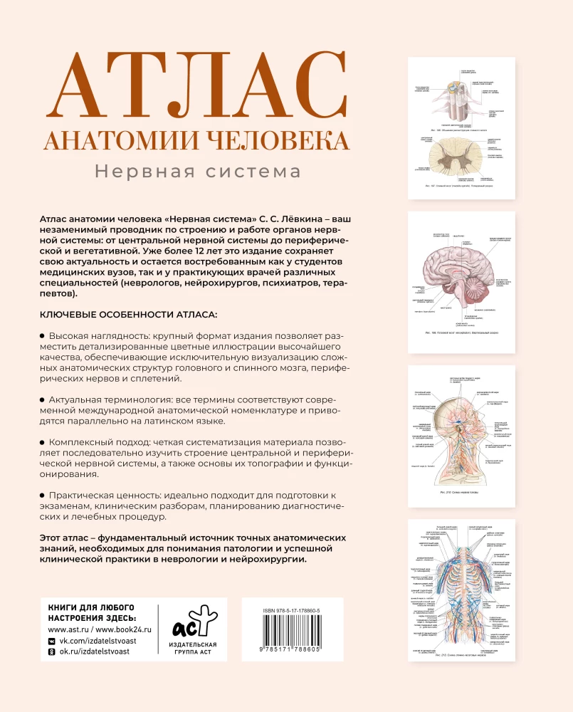 Atlas of Human Anatomy. Nervous System