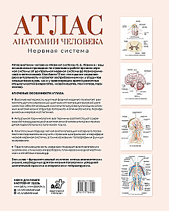 Atlas of Human Anatomy. Nervous System