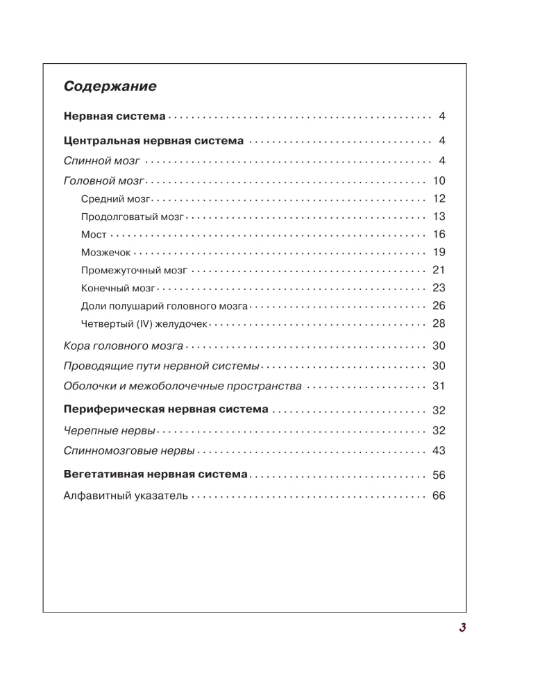 Atlas of Human Anatomy. Nervous System