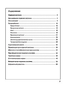Atlas of Human Anatomy. Nervous System