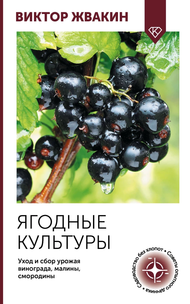 Berry crops. Care and harvesting of grapes, raspberries, blackcurrants