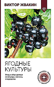 Berry crops. Care and harvesting of grapes, raspberries, blackcurrants