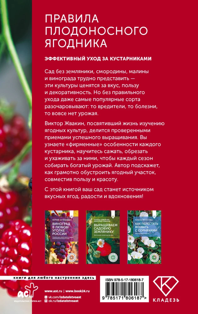 The Rules of a Fruitful Berry Bush. Effective Care for Shrubs