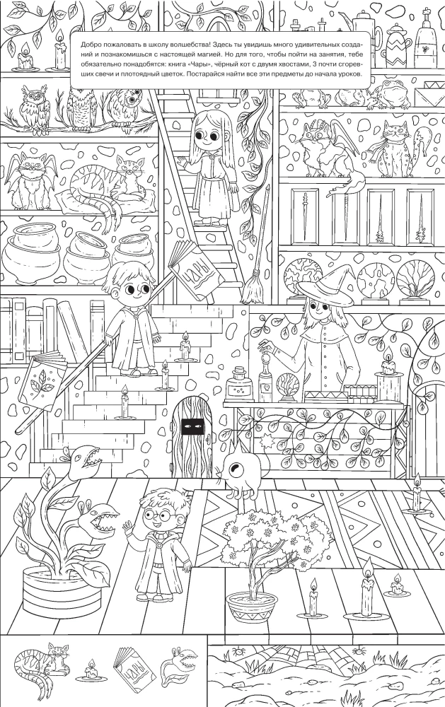 In the School of Magic