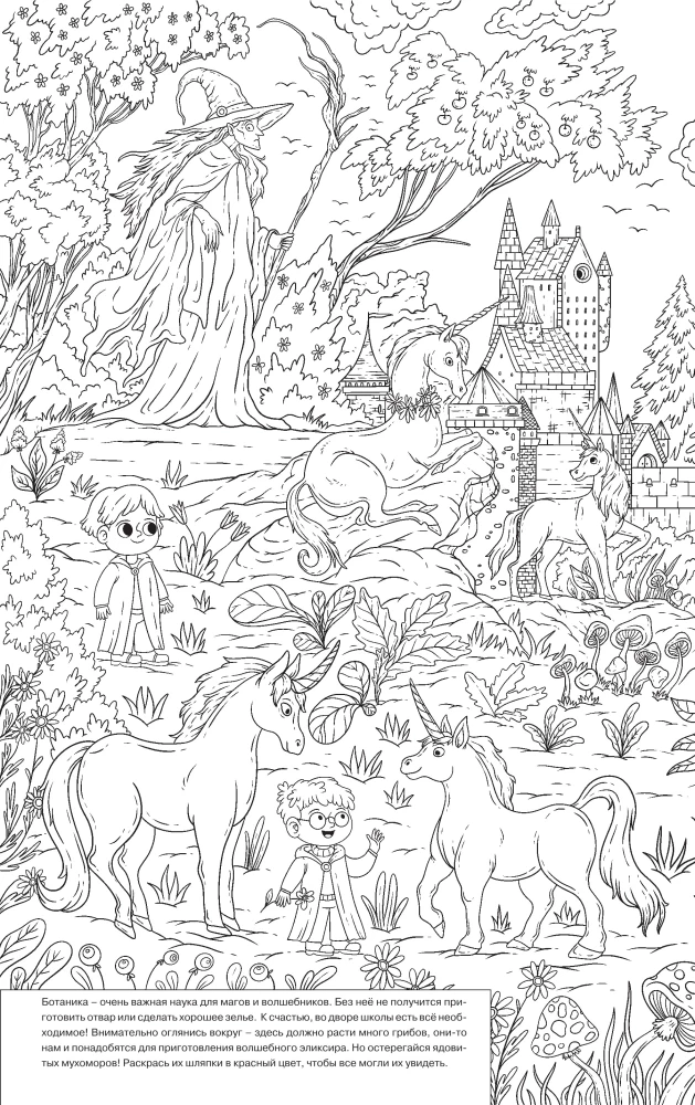 In the School of Magic