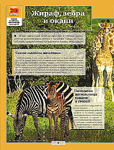 Animals