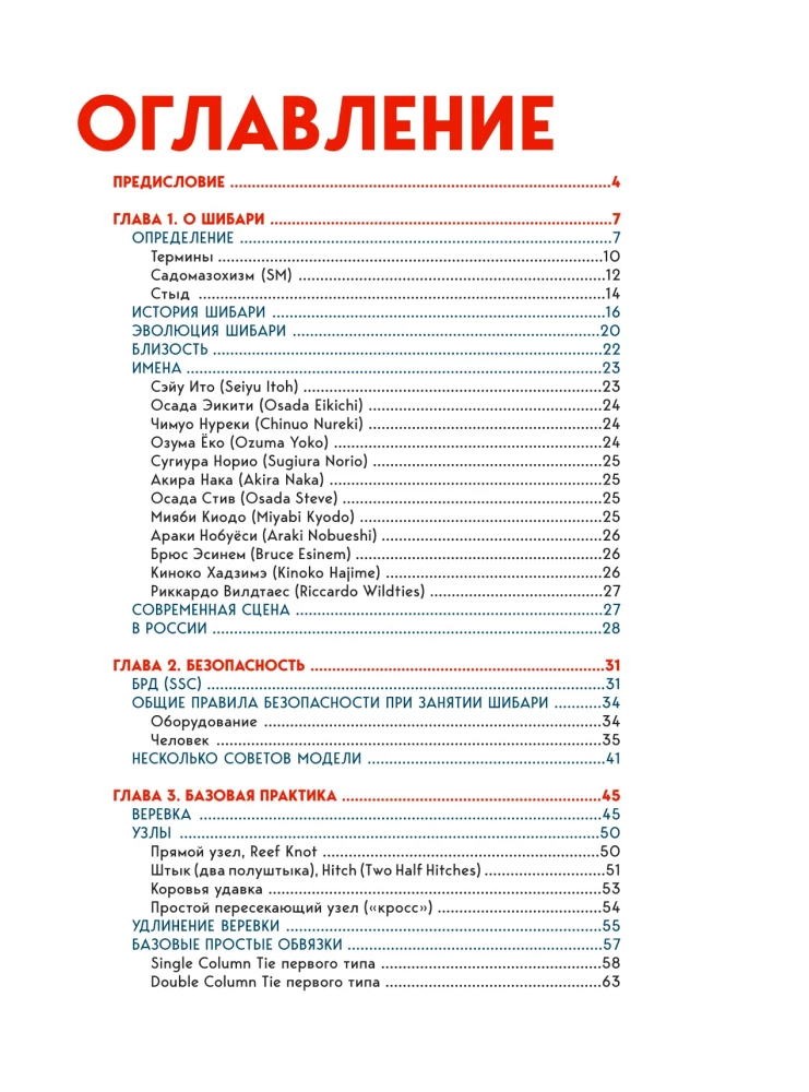 Shibari. Die Kunst des Bindens und Genießens