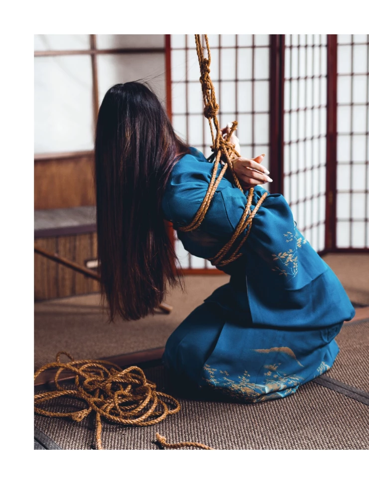 Shibari. Die Kunst des Bindens und Genießens
