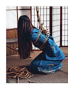 Shibari. Die Kunst des Bindens und Genießens