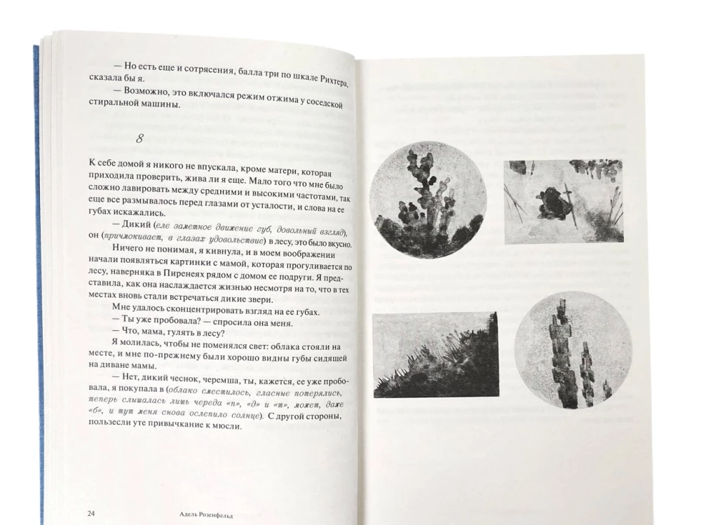 Medusen haben keine Ohren