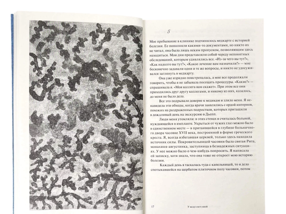 Medusen haben keine Ohren