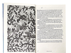 Medusen haben keine Ohren