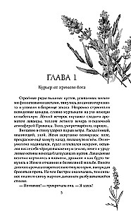 Bonfires of Lavender and Lies