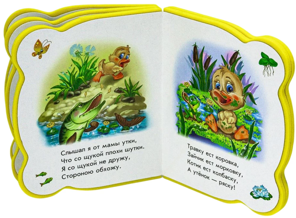 Wszystko o kaczątku