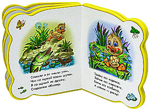 Wszystko o kaczątku