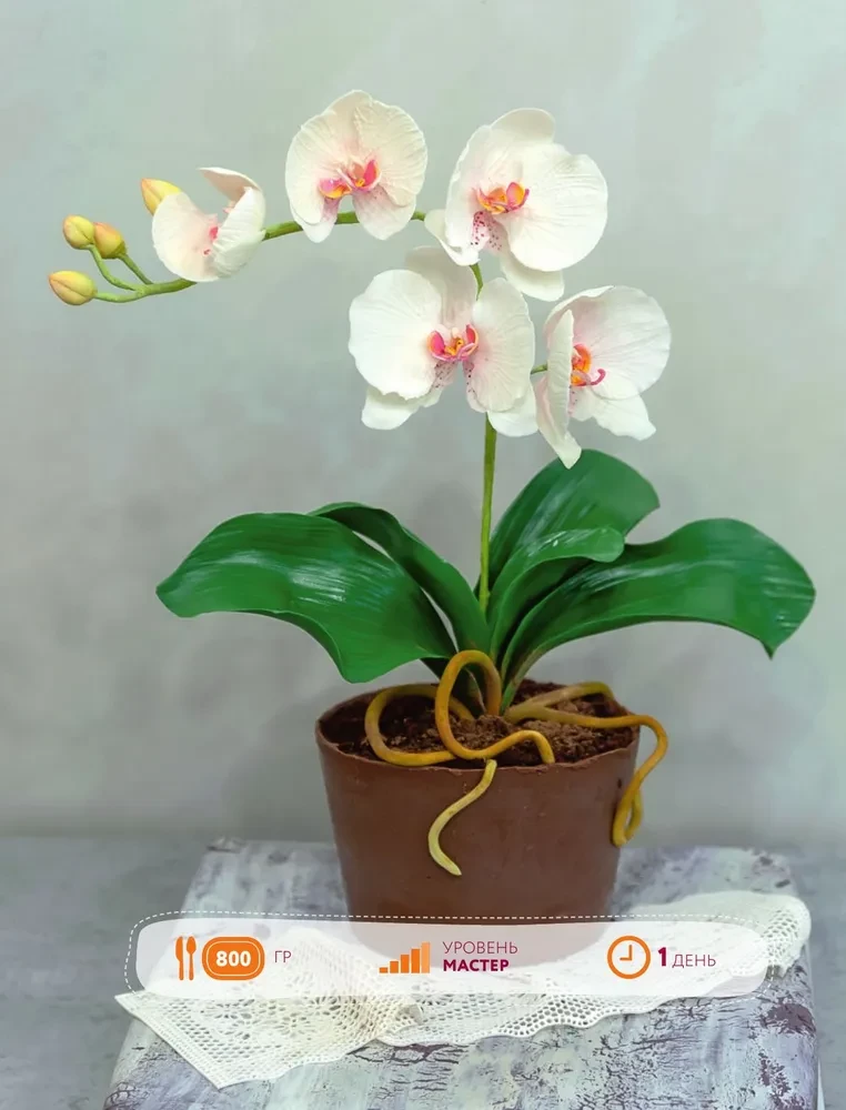 Pastry Art. From Beginner to Master