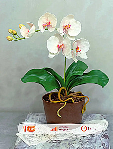 Pastry Art. From Beginner to Master