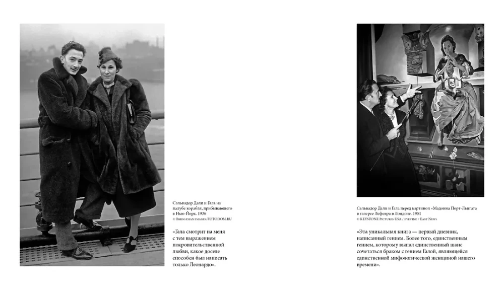 Vieno genijaus dienoraštis