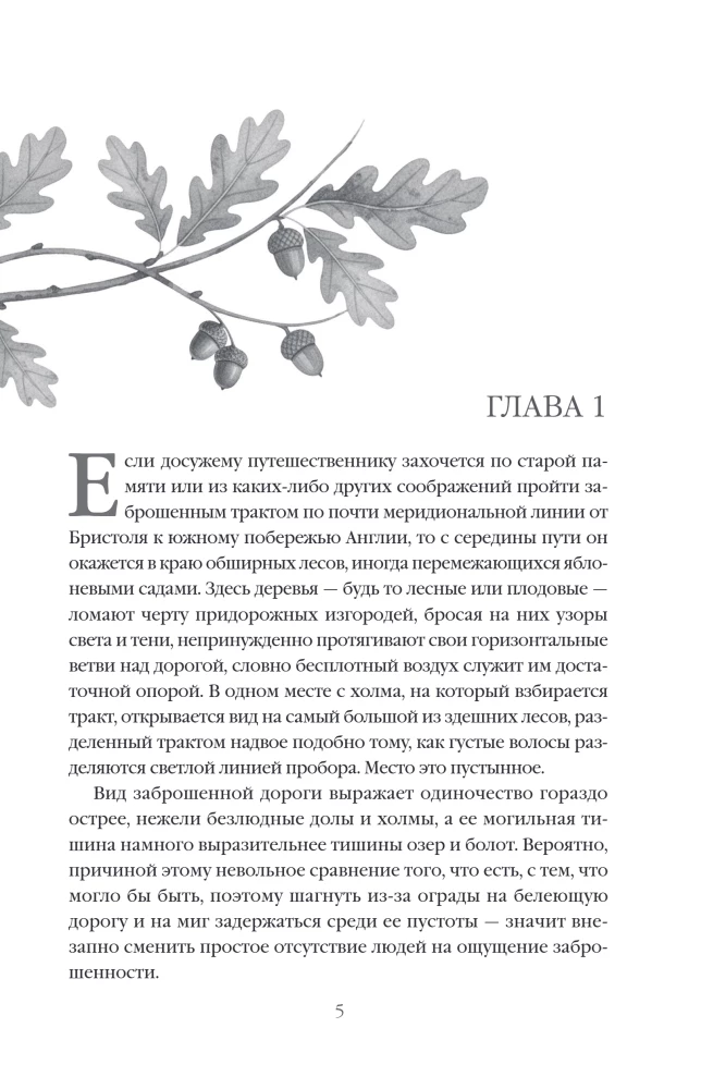 В краю лесов