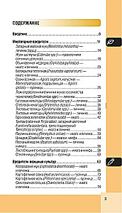 Garden and vegetable garden pests. Pocket atlas-identifier