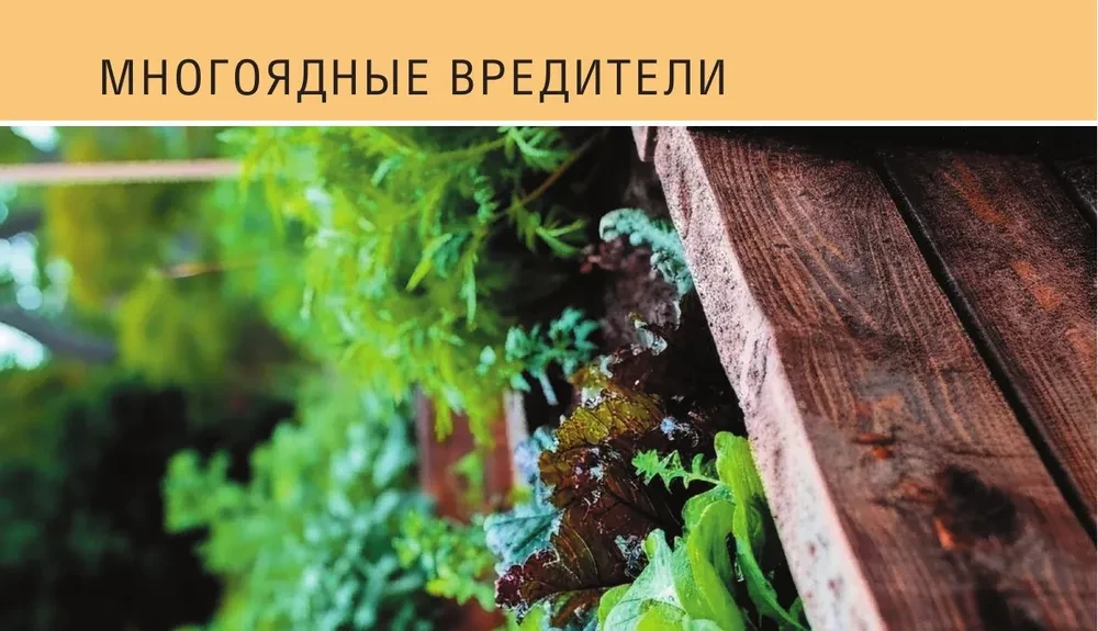 Garden and vegetable garden pests. Pocket atlas-identifier