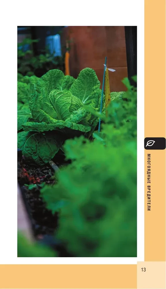 Garden and vegetable garden pests. Pocket atlas-identifier