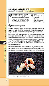 Garden and vegetable garden pests. Pocket atlas-identifier