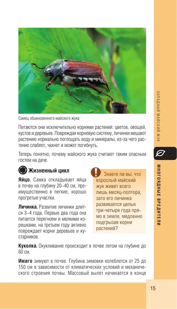 Garden and vegetable garden pests. Pocket atlas-identifier