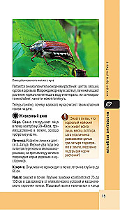 Garden and vegetable garden pests. Pocket atlas-identifier