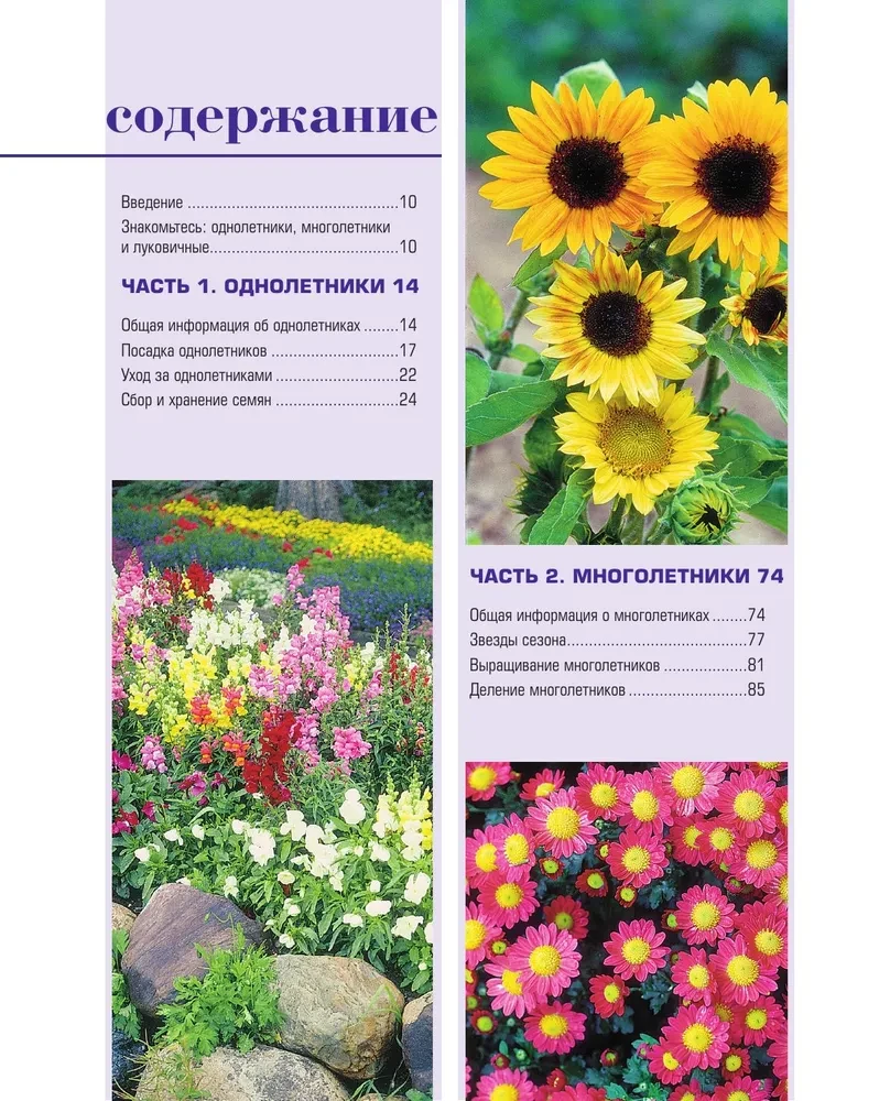 The Bible of Garden Flowers. Annuals, Perennials, and Bulbs. Tips for Planting, Growing, and Care