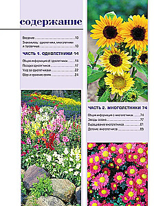 The Bible of Garden Flowers. Annuals, Perennials, and Bulbs. Tips for Planting, Growing, and Care