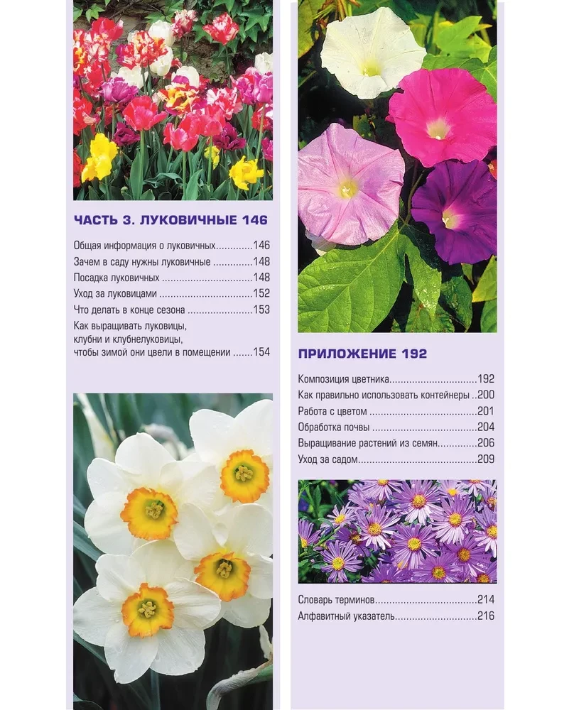 The Bible of Garden Flowers. Annuals, Perennials, and Bulbs. Tips for Planting, Growing, and Care