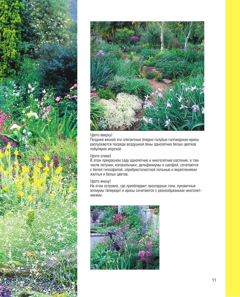 The Bible of Garden Flowers. Annuals, Perennials, and Bulbs. Tips for Planting, Growing, and Care