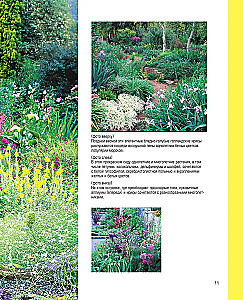 The Bible of Garden Flowers. Annuals, Perennials, and Bulbs. Tips for Planting, Growing, and Care