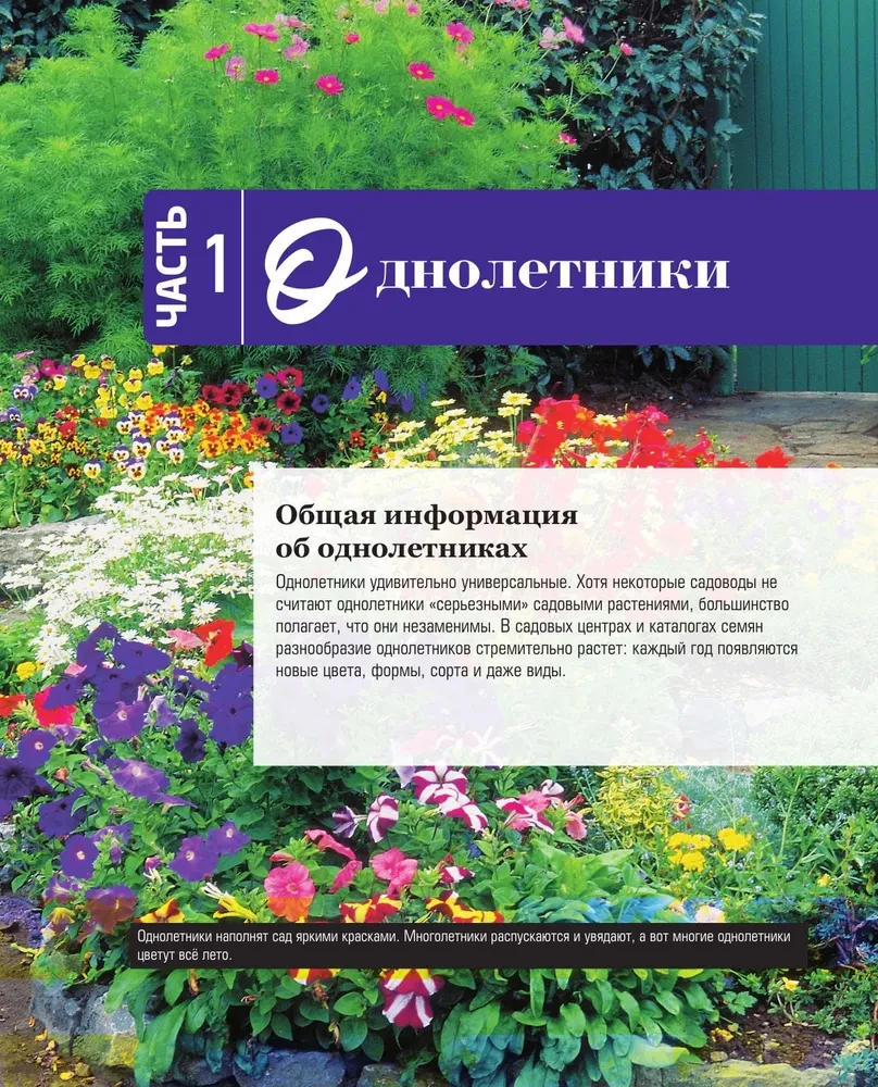 The Bible of Garden Flowers. Annuals, Perennials, and Bulbs. Tips for Planting, Growing, and Care