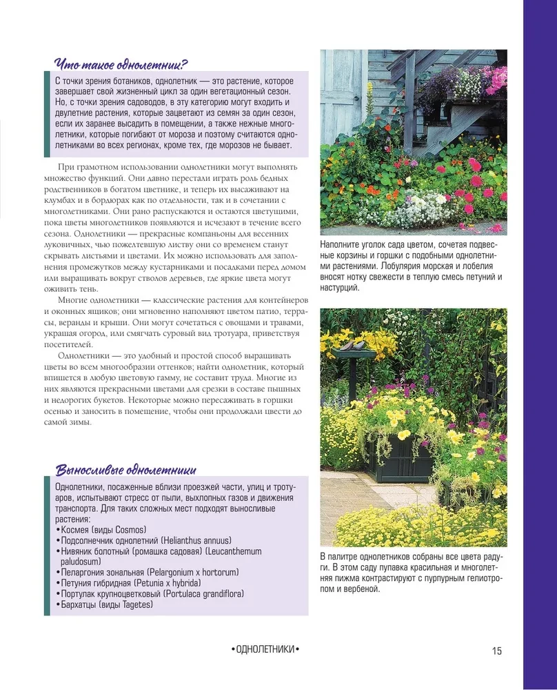 The Bible of Garden Flowers. Annuals, Perennials, and Bulbs. Tips for Planting, Growing, and Care