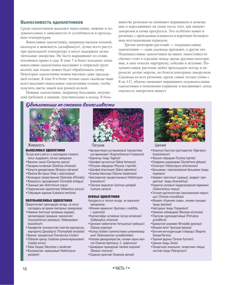 The Bible of Garden Flowers. Annuals, Perennials, and Bulbs. Tips for Planting, Growing, and Care