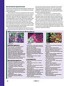 The Bible of Garden Flowers. Annuals, Perennials, and Bulbs. Tips for Planting, Growing, and Care