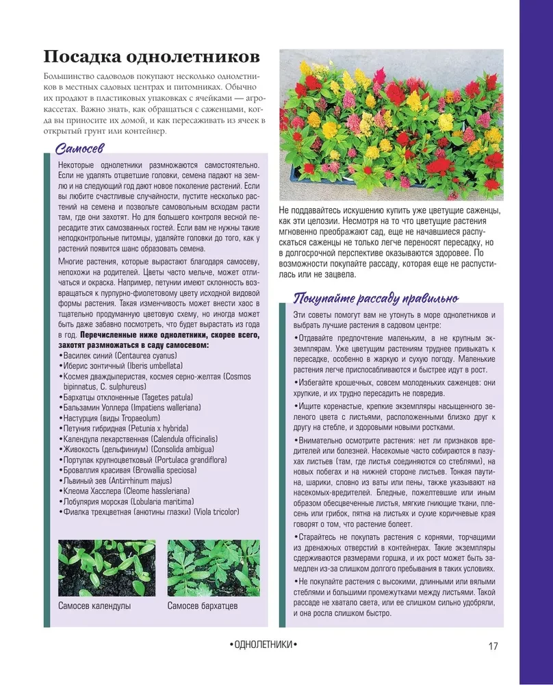 The Bible of Garden Flowers. Annuals, Perennials, and Bulbs. Tips for Planting, Growing, and Care