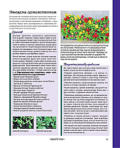 The Bible of Garden Flowers. Annuals, Perennials, and Bulbs. Tips for Planting, Growing, and Care