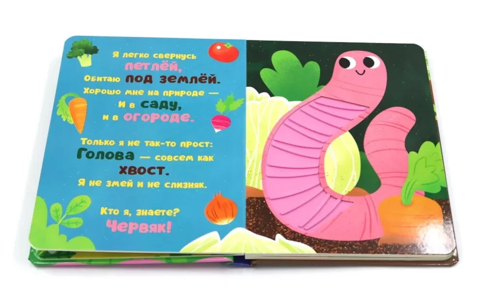 Taktīlie krājumi. Kas es esmu? Dārzā