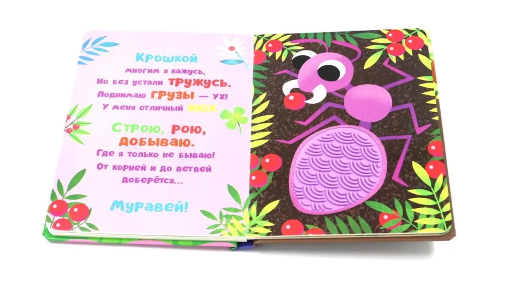 Taktīlie krājumi. Kas es esmu? Dārzā