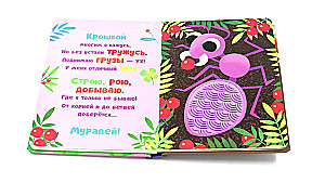 Taktīlie krājumi. Kas es esmu? Dārzā