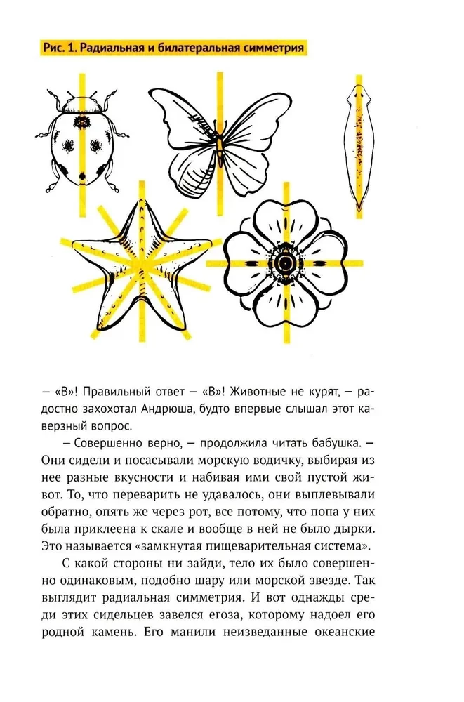 Kreisā grāmata. Piedzīvojumi kreisās puses pasaulē