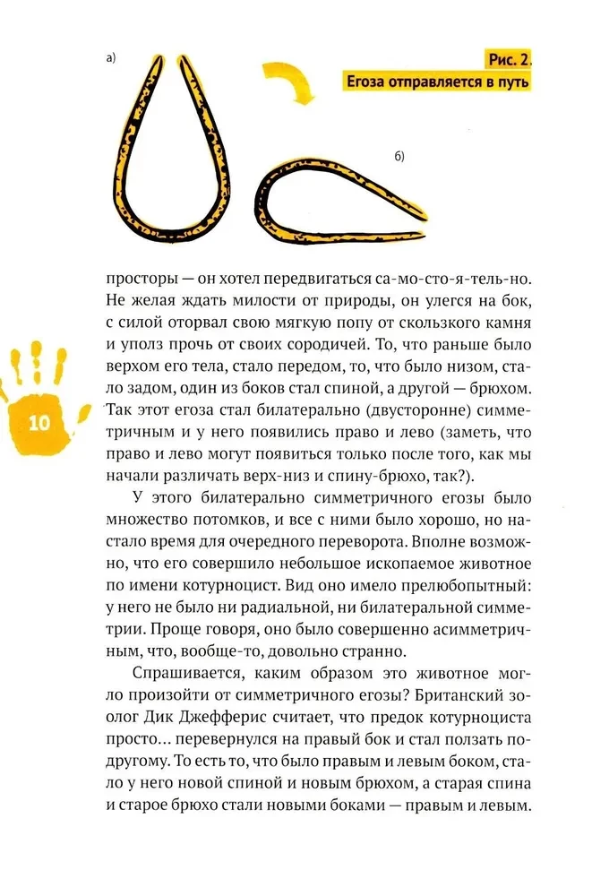Kreisā grāmata. Piedzīvojumi kreisās puses pasaulē